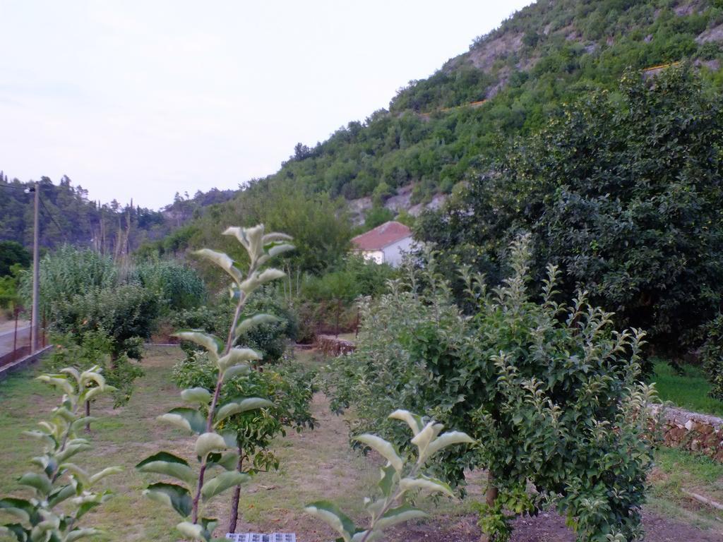 Holiday Home Ivana Virpazar Pokój zdjęcie