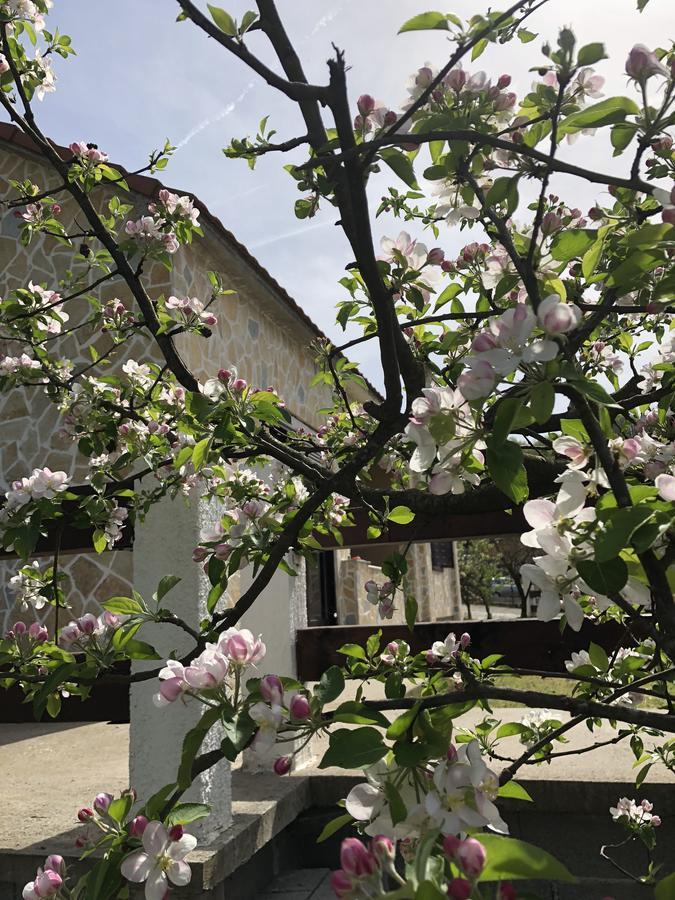 Holiday Home Ivana Virpazar Zewnętrze zdjęcie